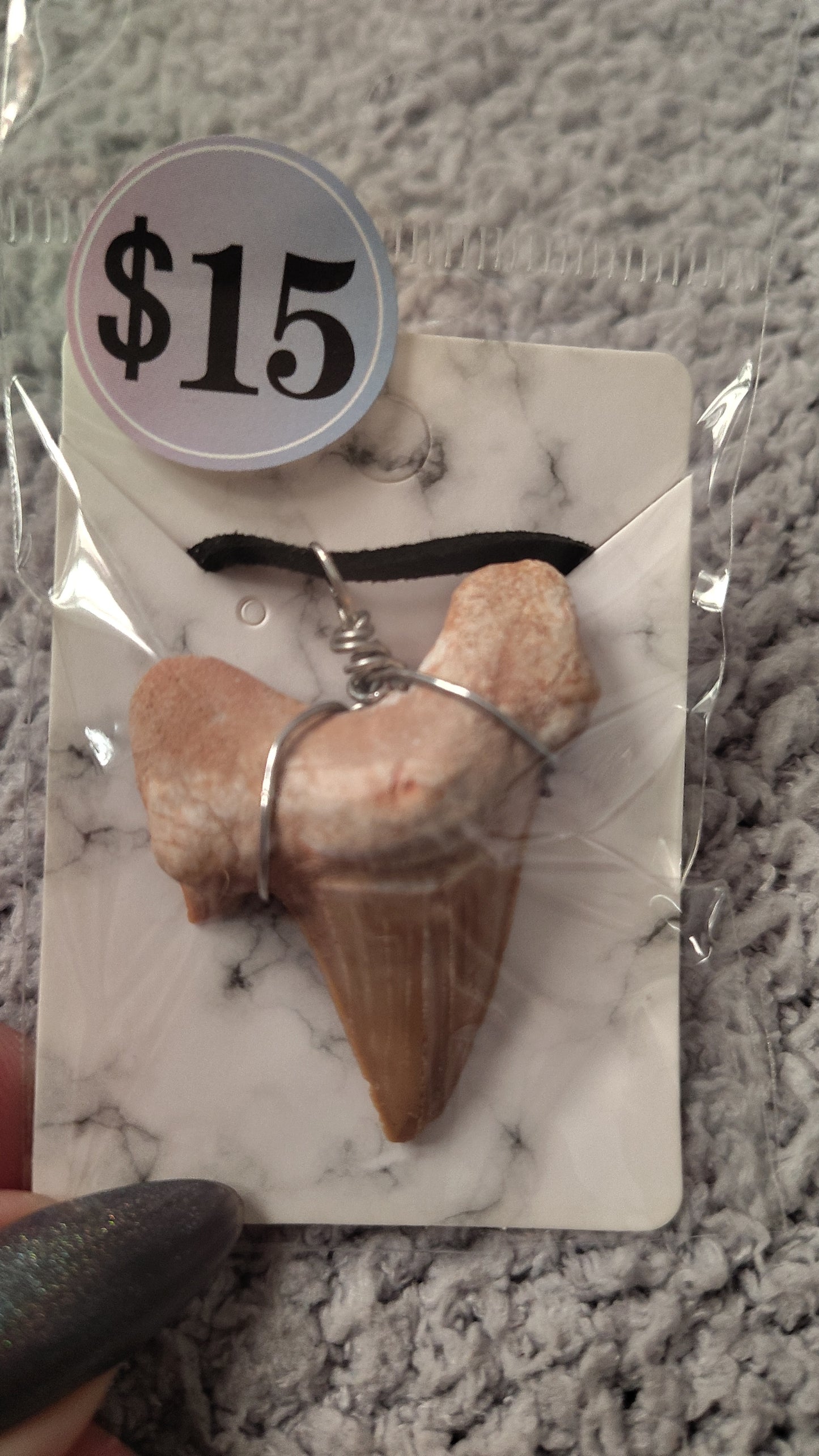 Wire-Wrapped Shark Tooth Necklace