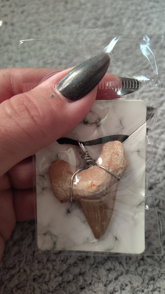 Wire-Wrapped Shark Tooth Necklace